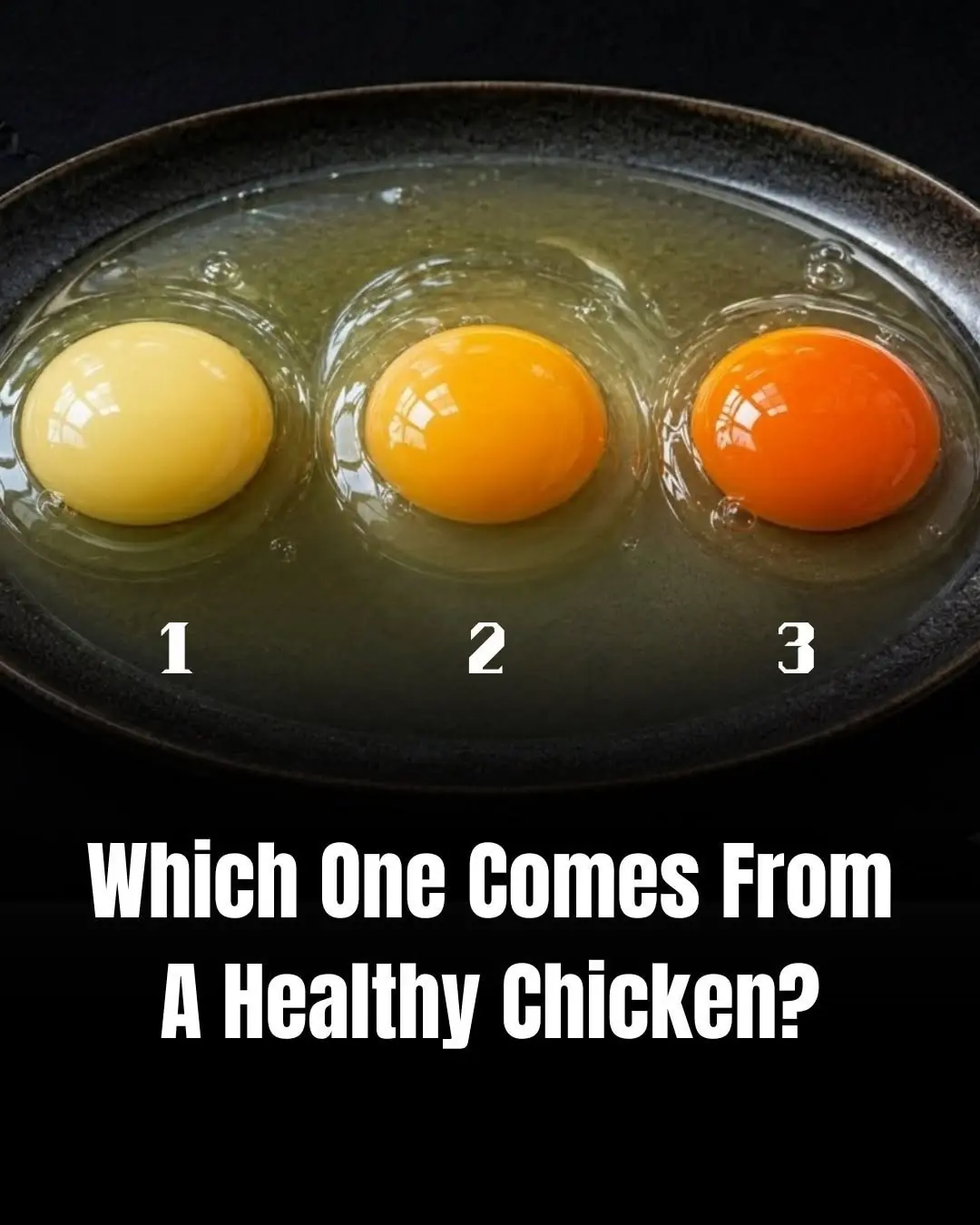 Which Egg Comes From a Healthy Chicken? The Truth Behind Yolk Colors