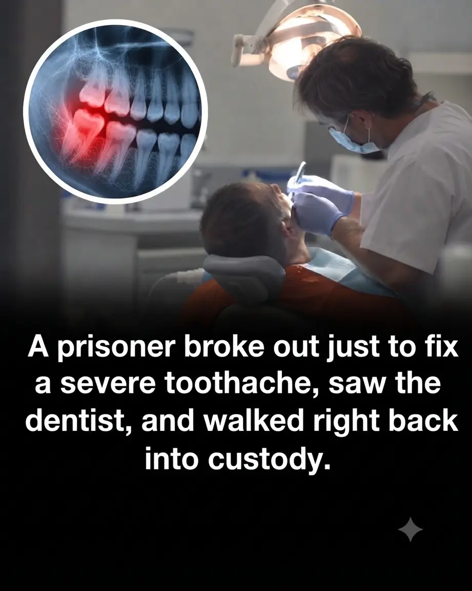 Breaking Out for a Root Canal: The Most Relatable Prison Escape in History