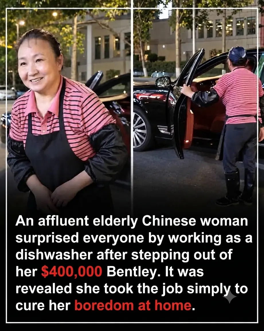 The Millionaire Dishwasher: Why a Wealthy Woman Chose Labor Over Leisure