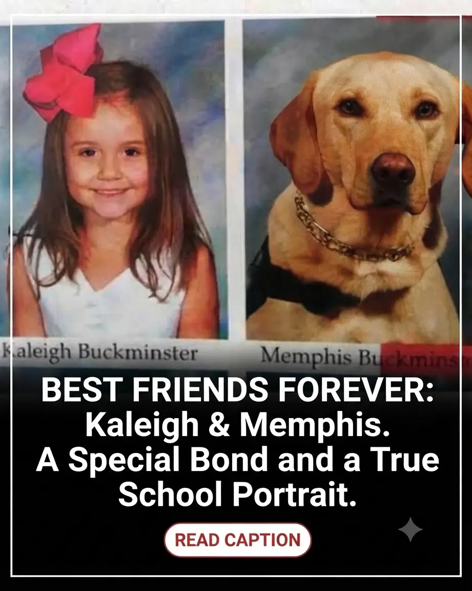 The Best Friend in Class: Why This Service Dog Earned a Yearbook Spot