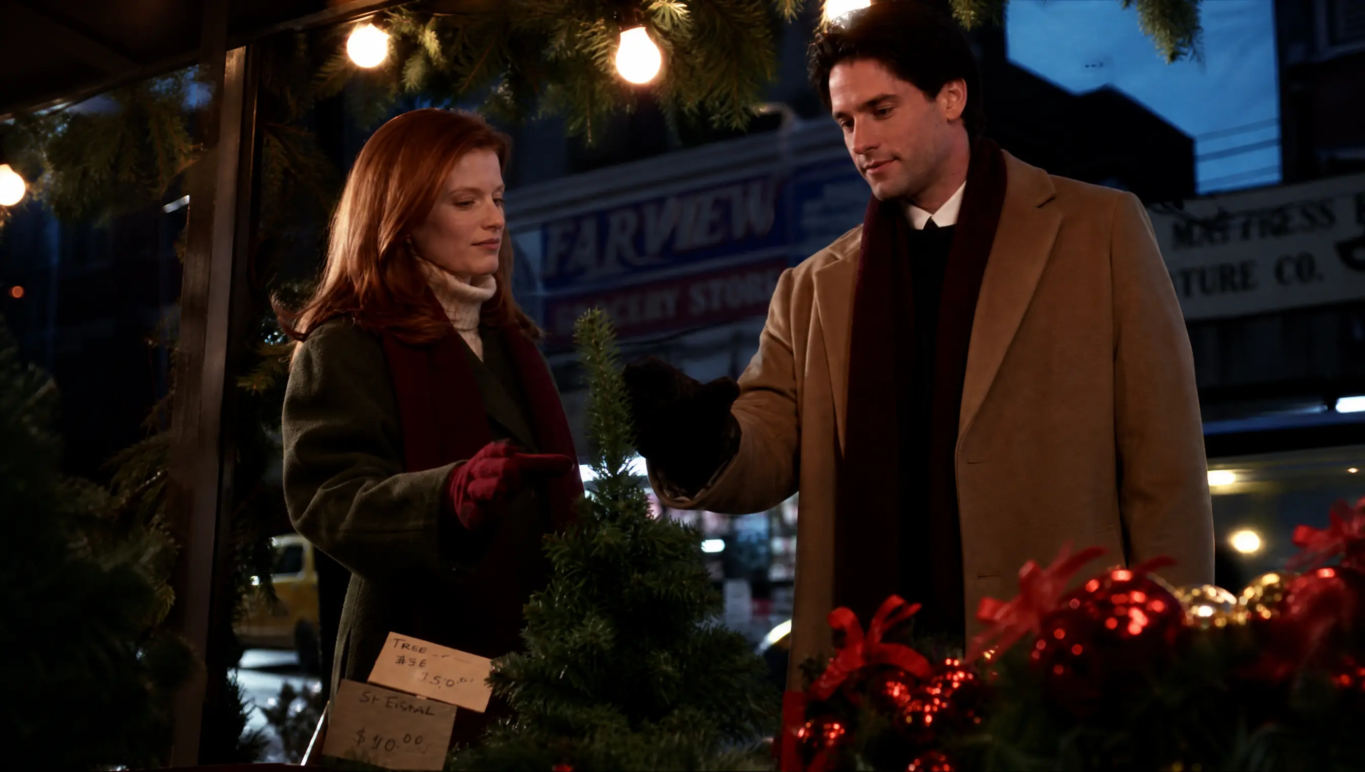 She Let Him Keep the Tiny Christmas Tree — Then He Learned Why She'd Been Holding On