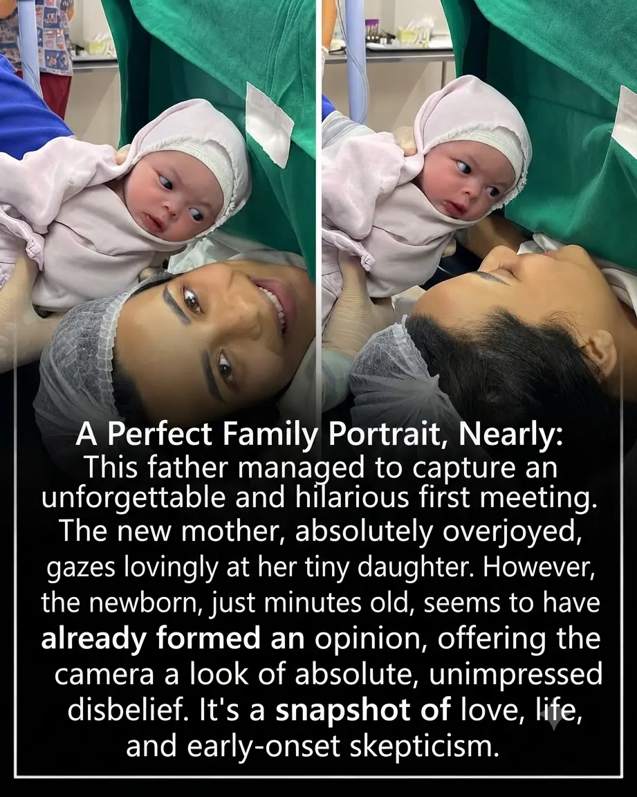 “So You’re the One Responsible?” Newborn’s Hilarious First Look at Mom Has Everyone Laughing
