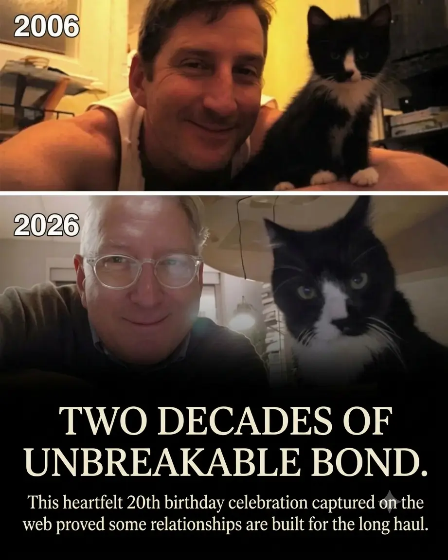 Man Celebrates His Cat’s 20th Birthday by Sharing Heartwarming Photos of Them Growing Older Together, Melting Hearts Across the Internet