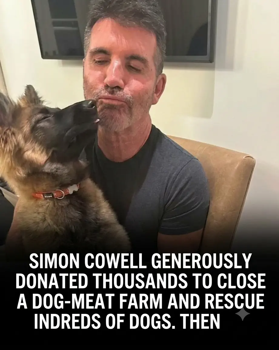 Simon Cowell Donates $32,000 to Help Shut Down South Korean Dog-Meat Farm, Saving Nearly 200 Dogs and Puppie