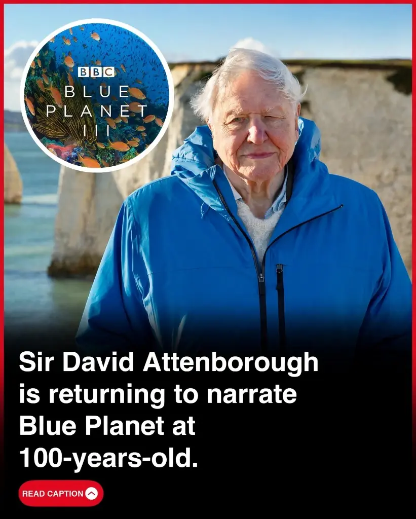 At 100, David Attenborough Returns to Narrate Blue Planet III