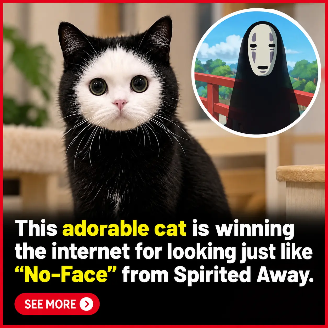 A Black-and-White Cat Is Going Viral for Its Unbelievable Resemblance to No-Face From Studio Ghibli’s Spirited Away! 🐈‍⬛❤️