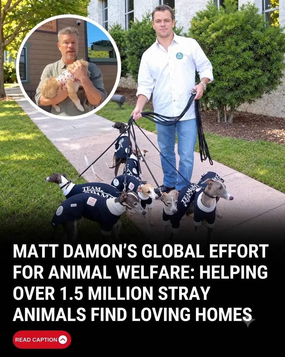 Matt Damon Joins “Clear the Shelters” Campaign as Nearly 1.5 Million Homeless Pets Find Loving Homes