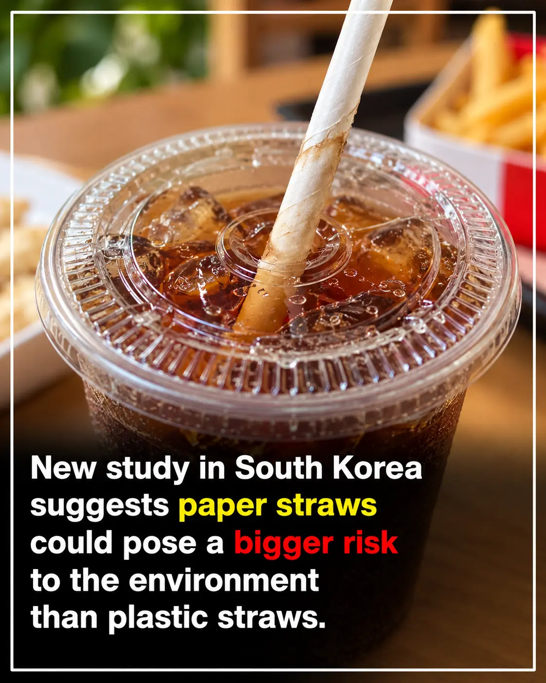 Paper Straws May Be Worse for the Environment Than Plastic, Surprising South Korean Study Finds