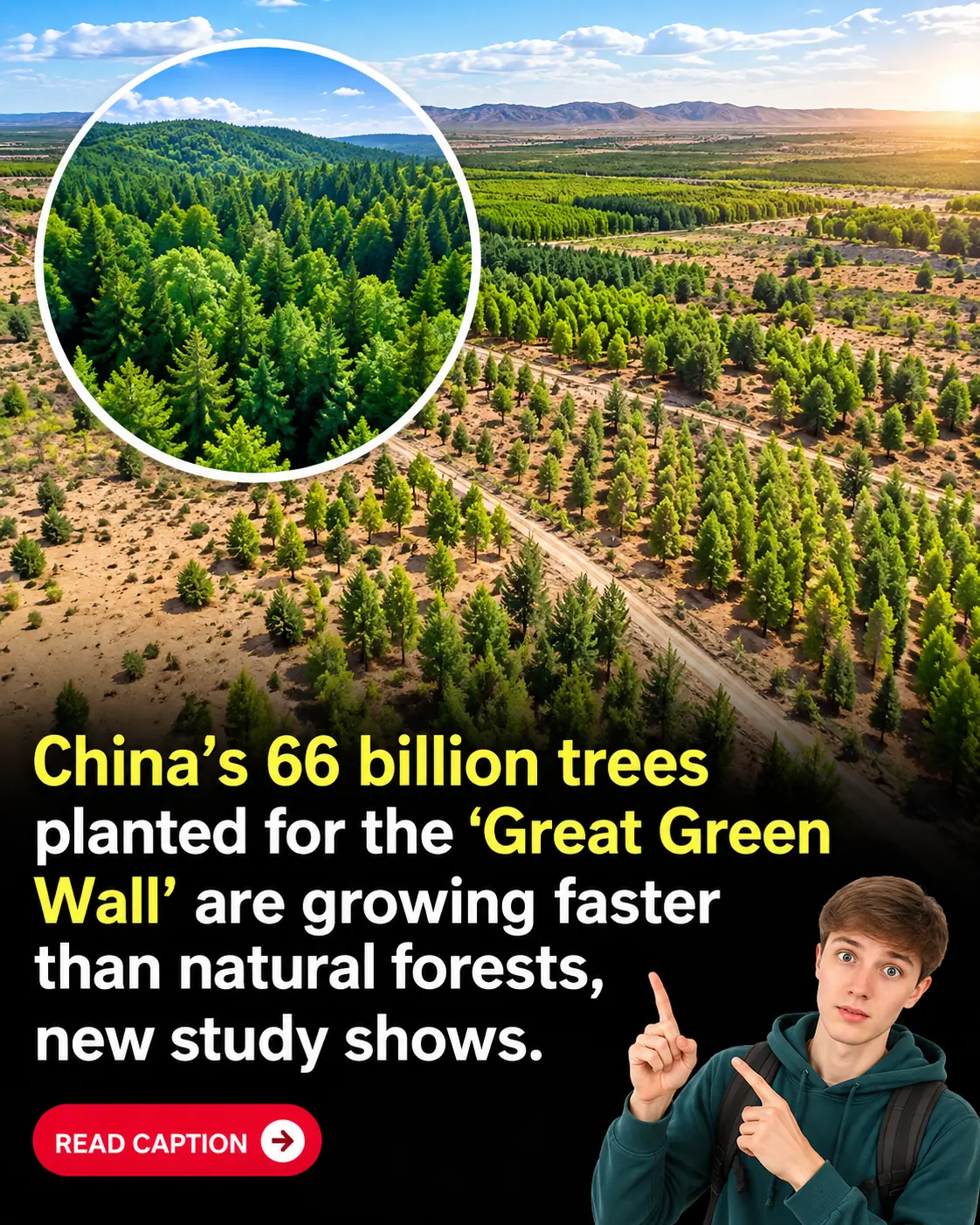 China’s 66 Billion Trees Are Transforming the Landscape, With Scientists Finding Planted Forests Greening 66% Faster Than Natural Forests! 🌳🇨🇳